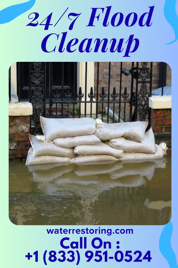 24/7 Flood Cleanup in Bigfork, MN