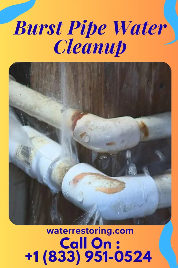 Burst Pipe Water Cleanup in Bigfork, MN