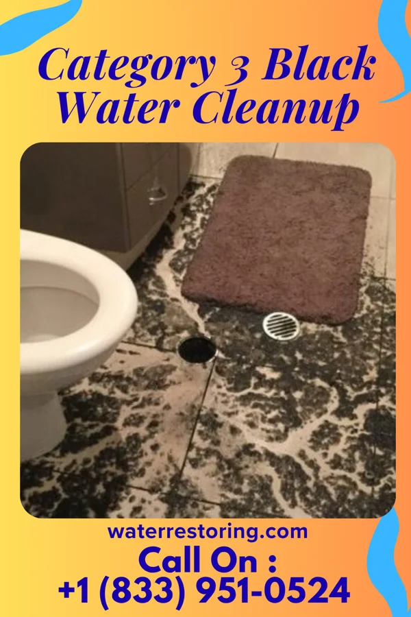 Category 3 Black Water Cleanup in Bigfork, MN