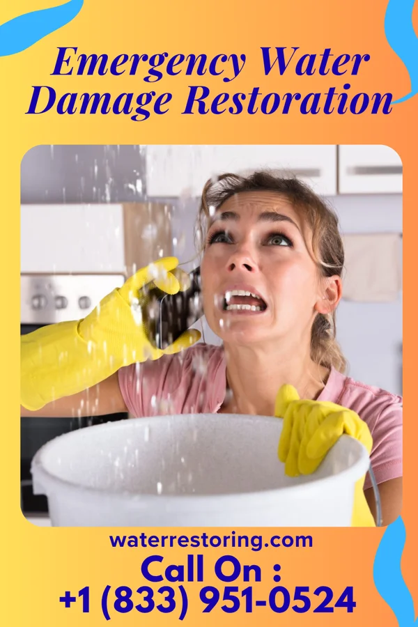 Emergency Water Damage Restoration in Bigfork, MN