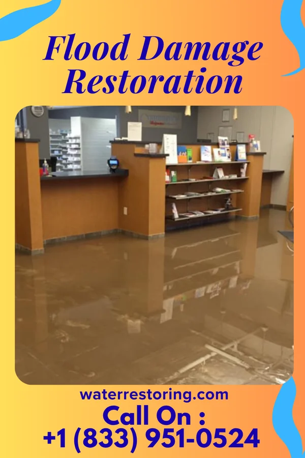 Flood Damage Restoration in Bigfork, MN