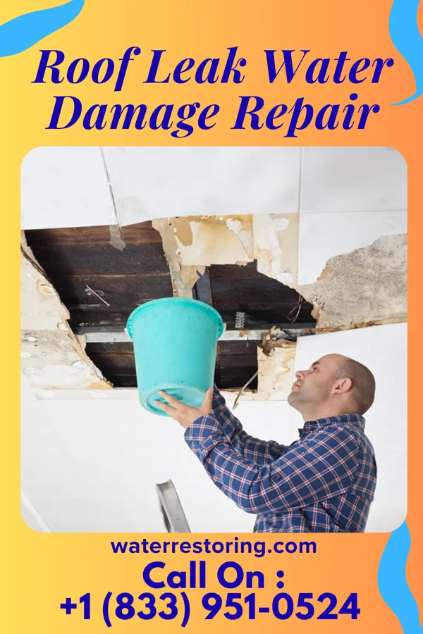 Roof Leak Water Damage Repair in Bigfork, MN