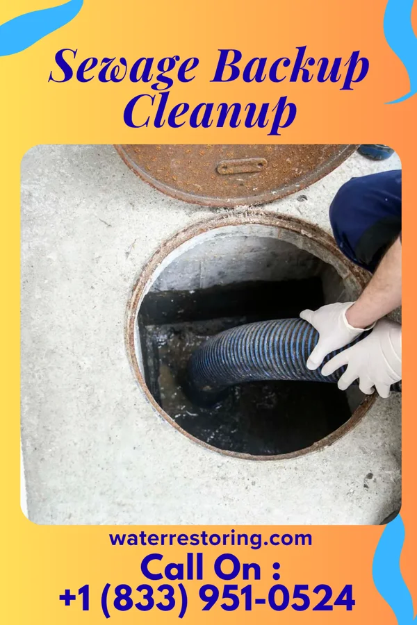 Sewage Backup Cleanup in Bigfork, MN