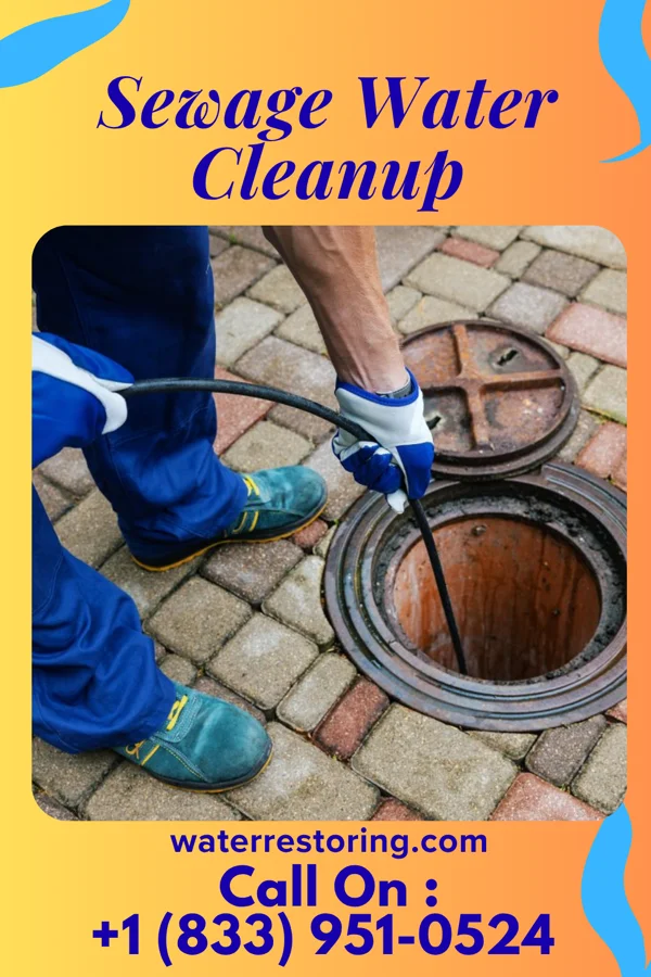 Sewage Water Cleanup in Bigfork, MN