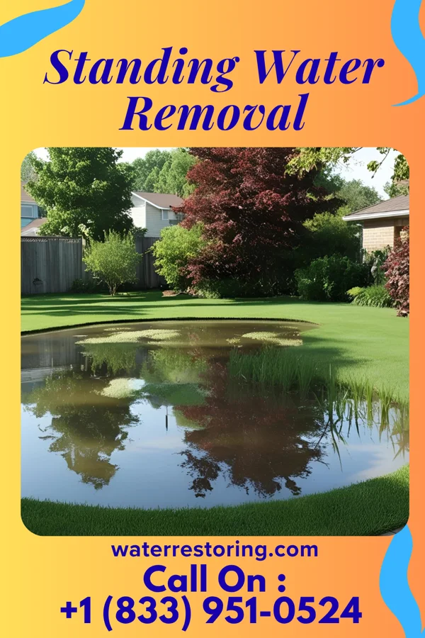 Standing Water Removal in Bigfork, MN